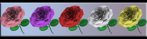 Rose Colours