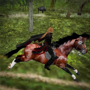 Mav on Horseback Galloping